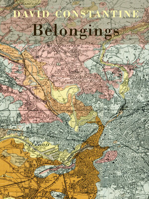 cover image of Belongings